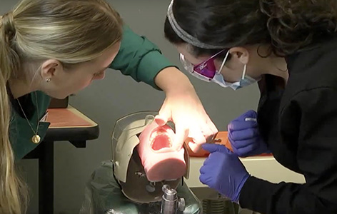 NMC Dental Assistant Program students work on a mannequin