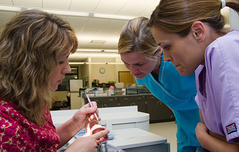 An NMC Dental Assistant Program instructor teaches a dental technique to two students