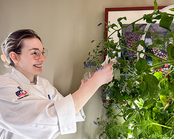 A Great Lakes Culinary Institute student harvests fresh greens from a hydroponic garden