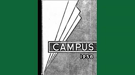Example NMC Yearbook cover